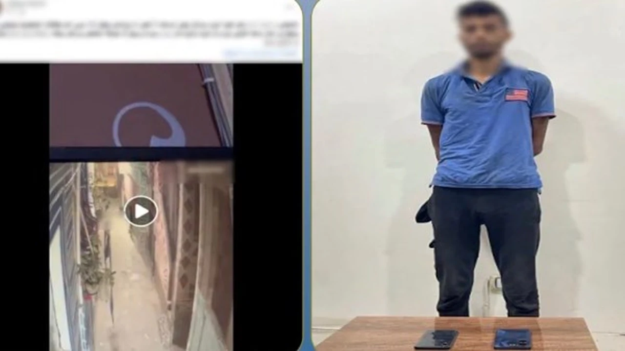 القبض على لص سرق هاتف سيدة في الدقهلية